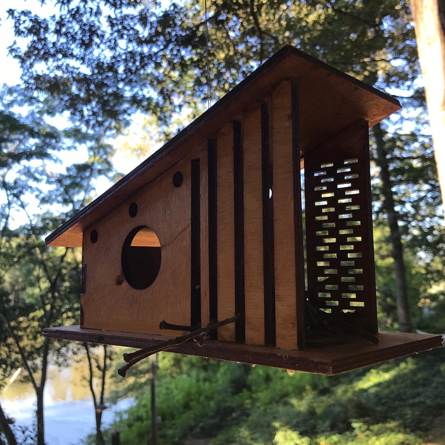 Birdhouse Kit